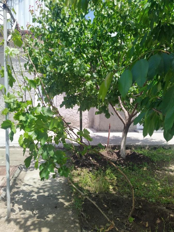 Vanand Guest House Gyumri Bagian luar foto