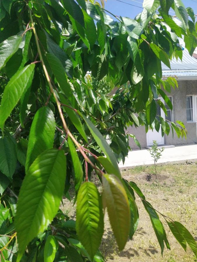Vanand Guest House Gyumri Bagian luar foto
